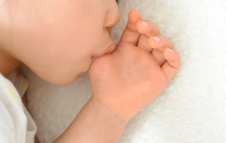 悪習癖改善トレーニングもできる